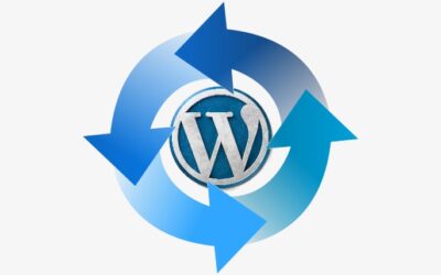 Get Ready for WordPress 5.5 AutoUpdate