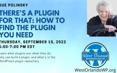 Sue Polinsky – There’s A Plugin For That: How To Find The WordPress Plugins You Need