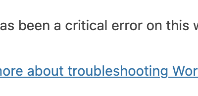 Fixing the ‘Critical Error’: Regain Access to Your WordPress Site Now!