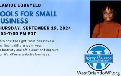 Olamide Egbayelo – Tools for Small Business